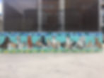 Biggest Little Dog Park Pet Mural