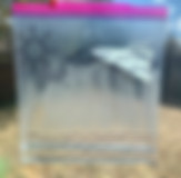 Water%20Cycle%20in%20a%20Bag_edited.jpg