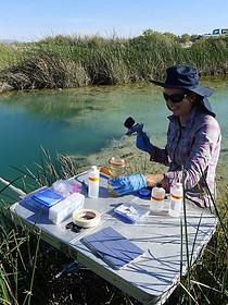 Water_sampling_Bridget_Ayling.jpg