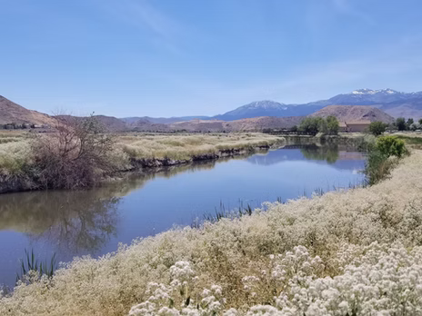 Coast to Coast: Exploring the Wonders of Wetlands in New Jersey and Nevada