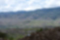 WestParkview1-1024x685.jpg
