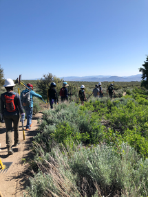 IMG_0520.HEIC