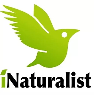 iNaturalist