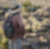 _1350059.JPG