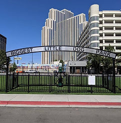 BiggestLittleDogPark.jpg