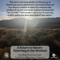 A Return to Nature: Returning to the Wetland